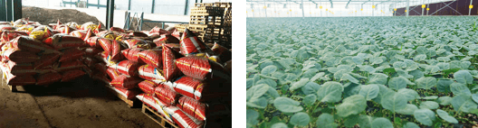 一產：綠禾農業園區