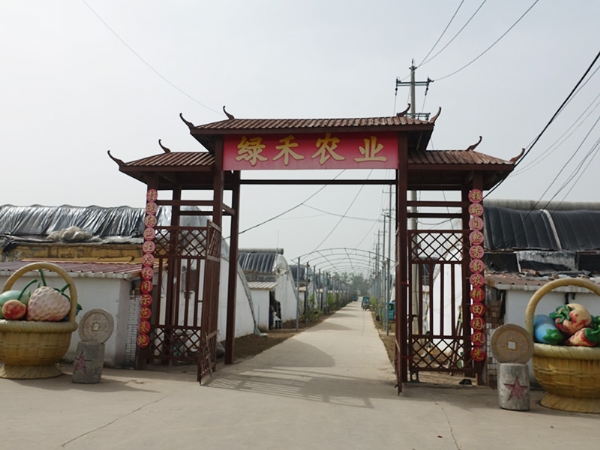 綠禾農業 綠禾農業